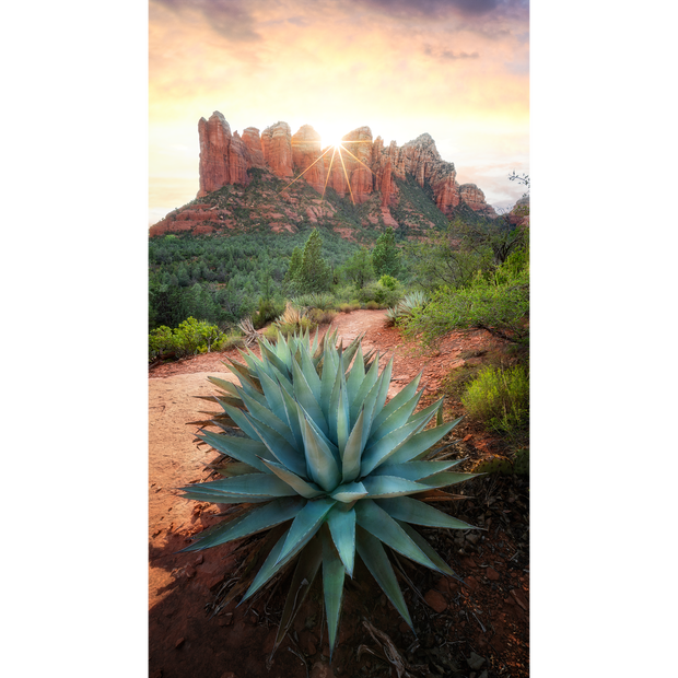 Aligned at Sunset, Sedona