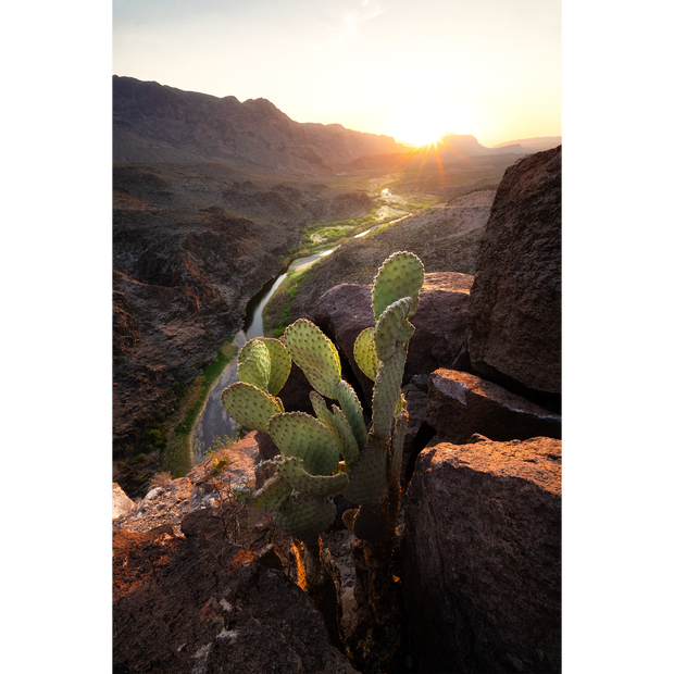 Along the Border at Sunset