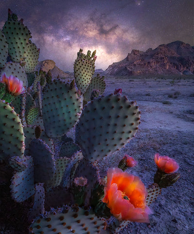 Big Bend Magic: Sunsets & Stars Workshop