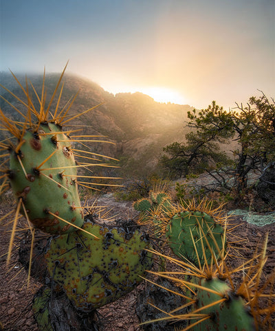 Big Bend Magic: Sunsets & Stars Workshop