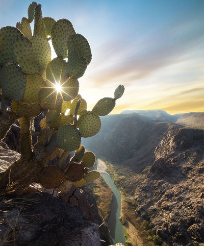 Big Bend Magic: Sunsets & Stars Workshop