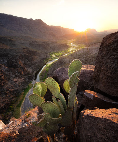 Big Bend Magic: Sunsets & Stars Workshop