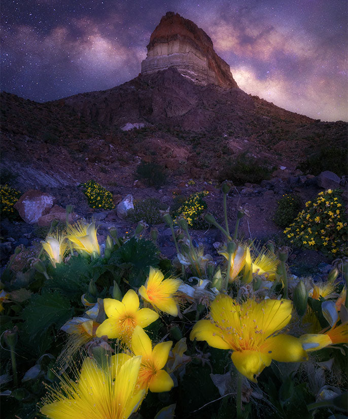 Big Bend Magic: Sunsets & Stars Workshop