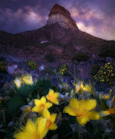 Big Bend Magic: Sunsets & Stars Workshop