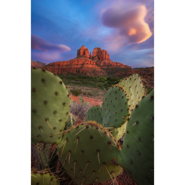 Cathedral Rock, Sedona