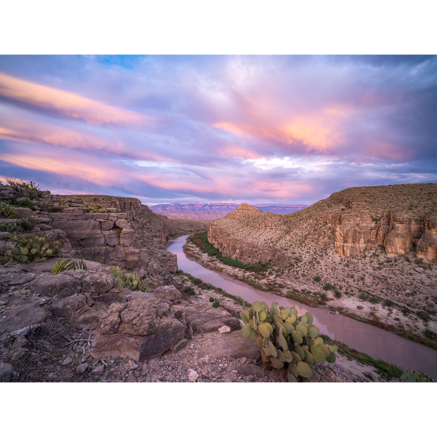 Desert Light Along the Rio Grande
