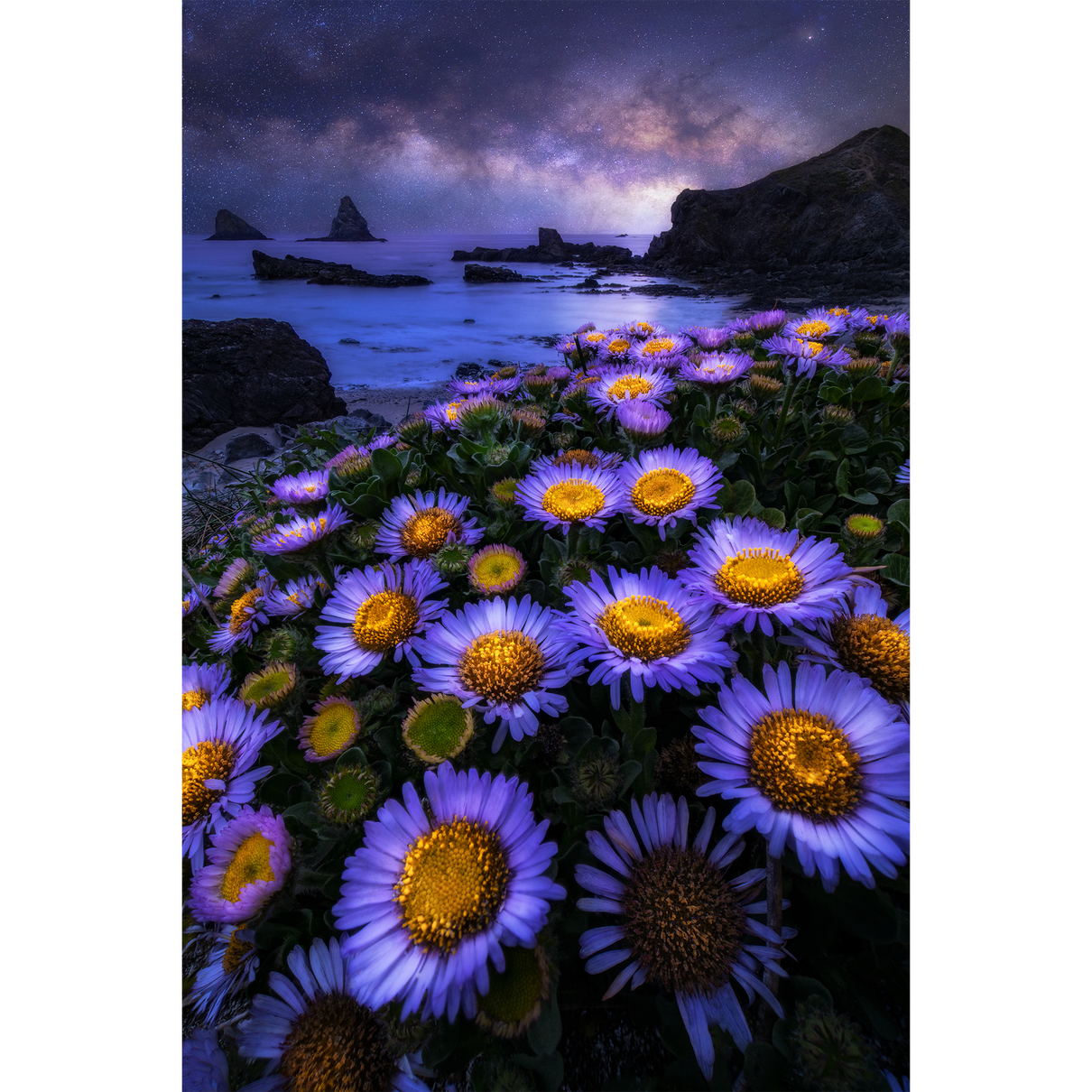Dreaming in Violet