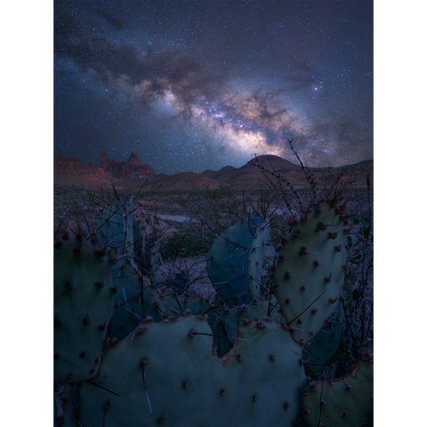 Milky Way Over Mule Ears