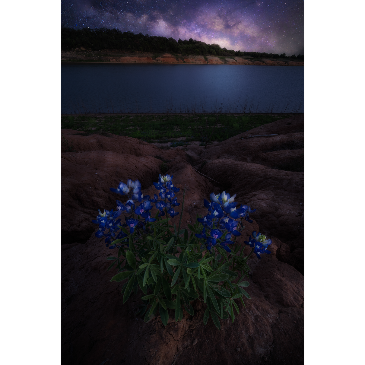 Milky Way Over Muleshoe Bend