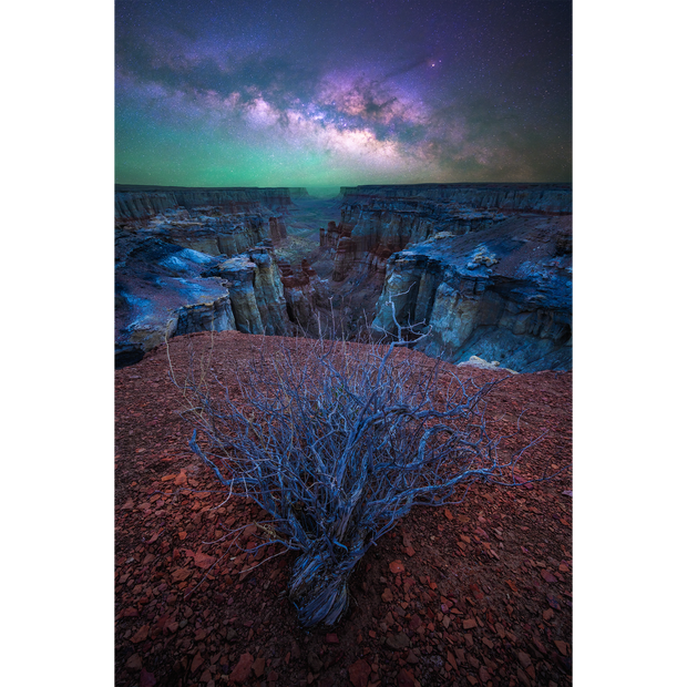 Starlight at the Edge of the Earth