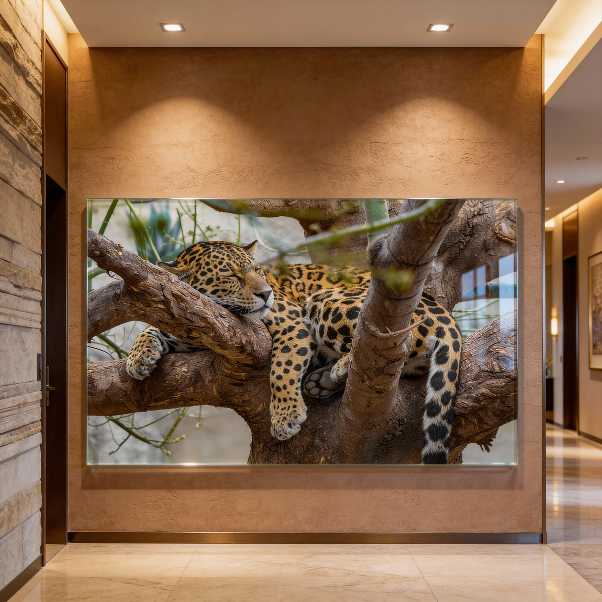 Resting Jaguar