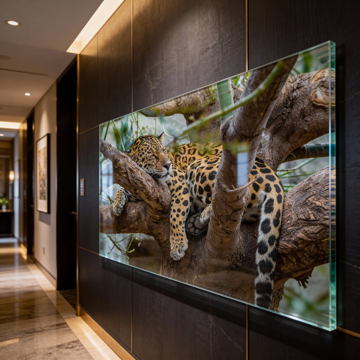 Resting Jaguar