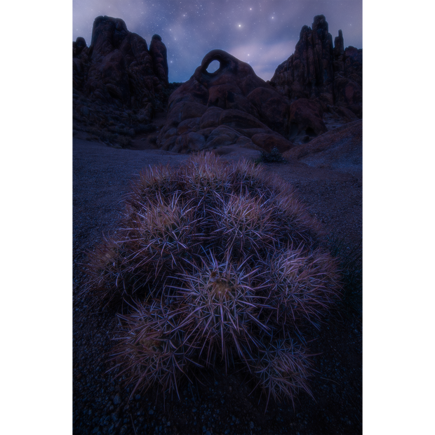 The Eye of Alabama Hills