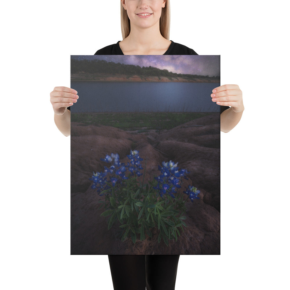 Muleshoe Bend Milky Way Canvas