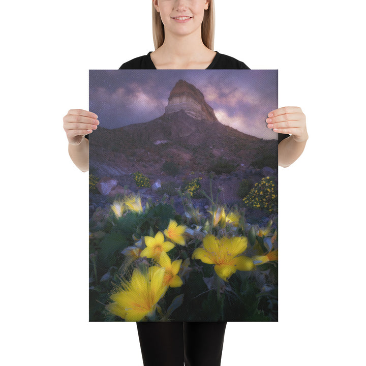Cerro Castellan Nightscape Canvas