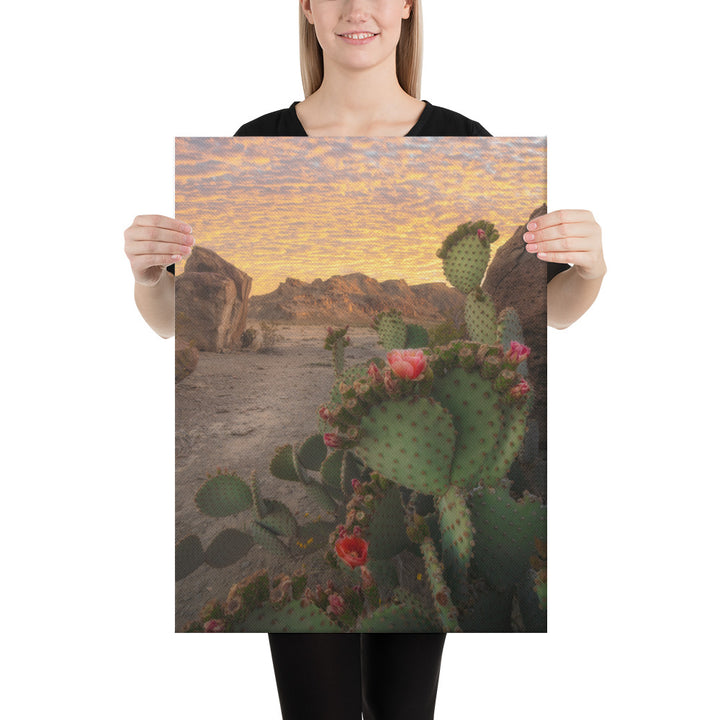 Big Bend Prickly Pear Canvas