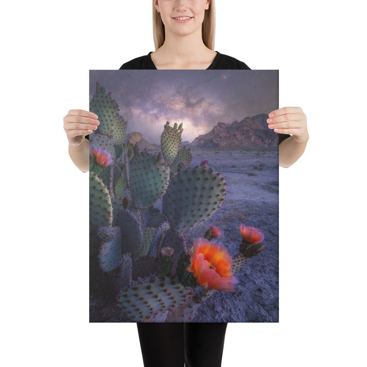 Big Bend Prickly Pear Nightscape Canvas