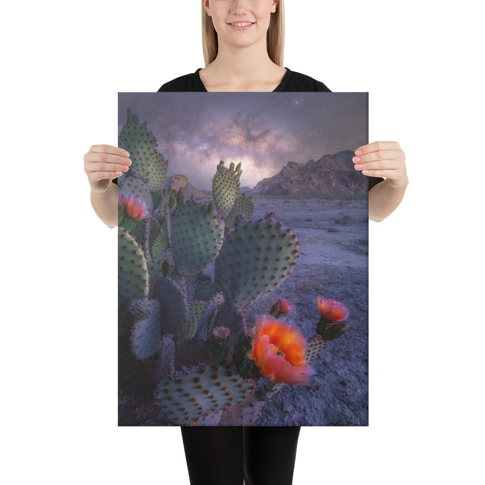 Big Bend Prickly Pear Nightscape Canvas
