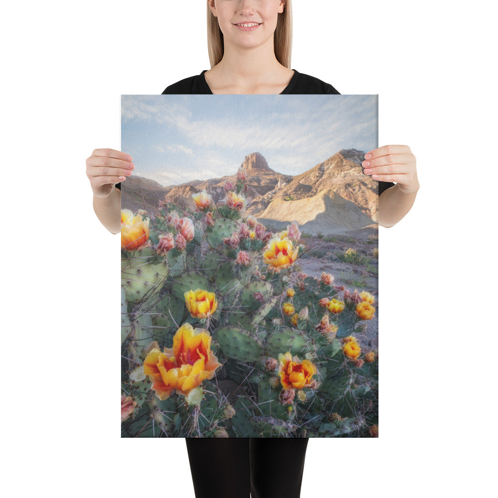 Lajitas Mesa Prickly Pear Canvas