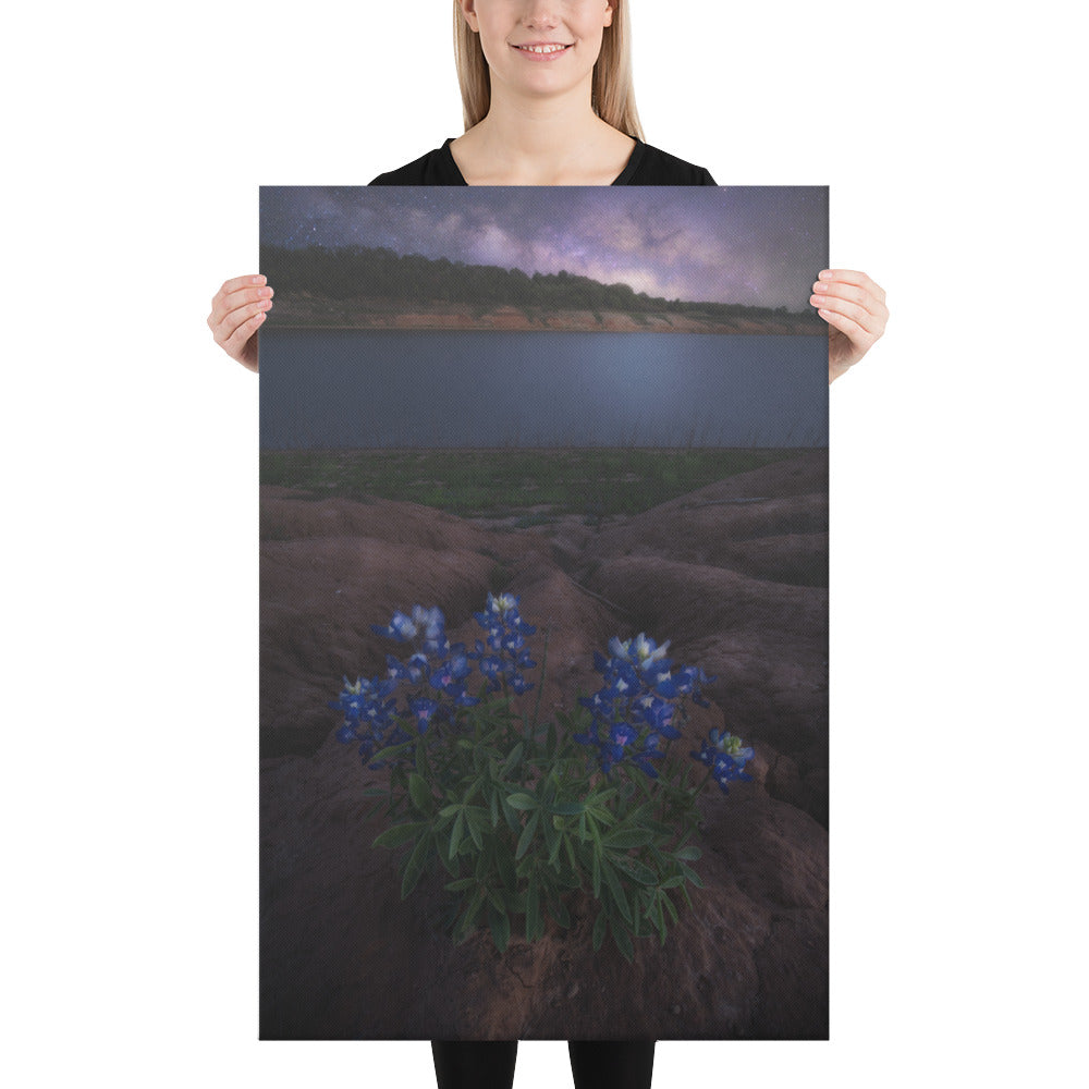 Muleshoe Bend Milky Way Canvas