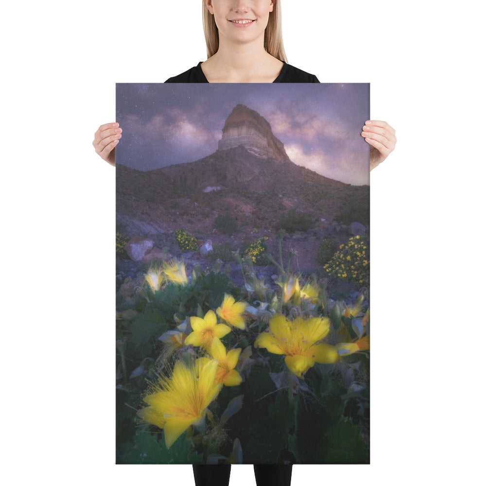 Cerro Castellan Nightscape Canvas
