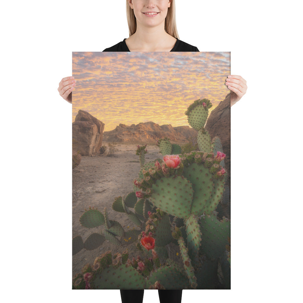 Big Bend Prickly Pear Canvas