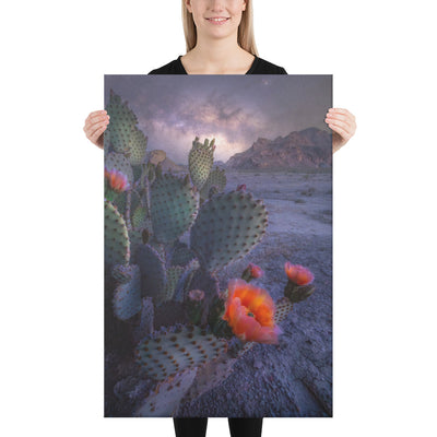 Big Bend Prickly Pear Nightscape Canvas