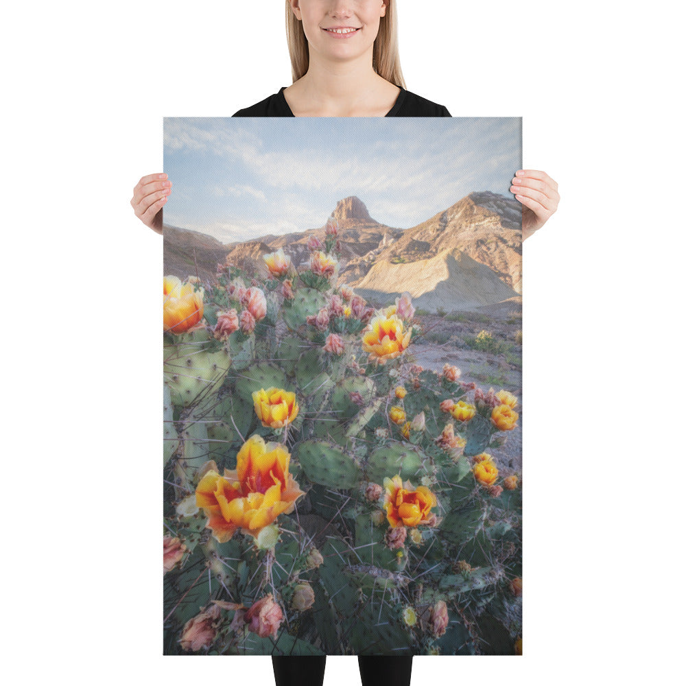Lajitas Mesa Prickly Pear Canvas
