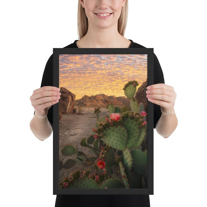 Big Bend Prickly Pear Framed Matte