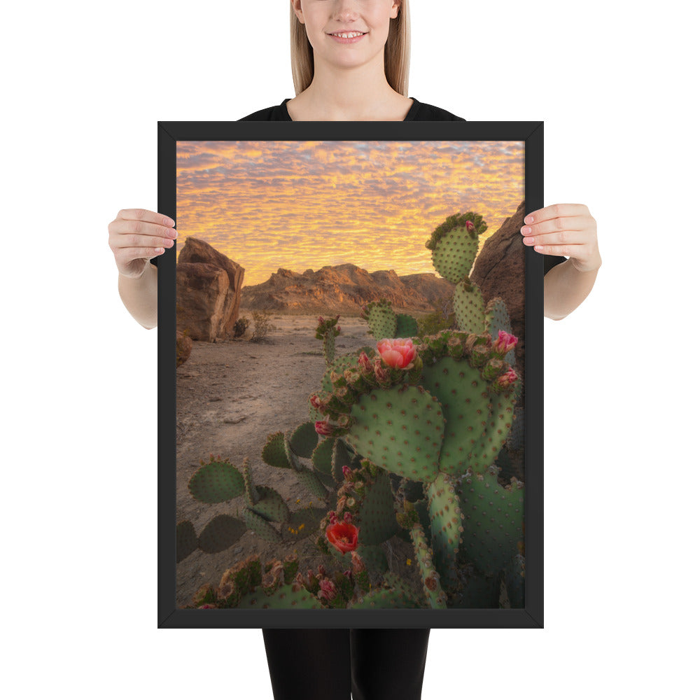 Big Bend Prickly Pear Framed Matte