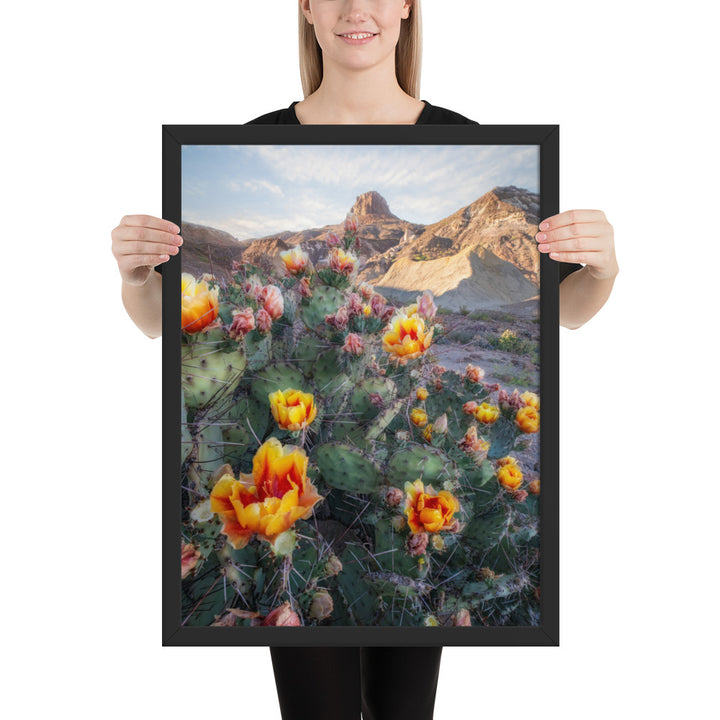 Lajitas Mesa Prickly Pear Framed Matte