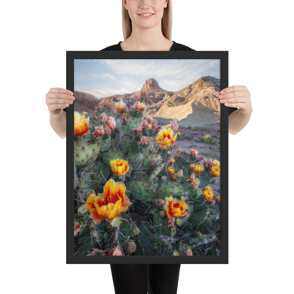 Lajitas Mesa Prickly Pear Framed Matte