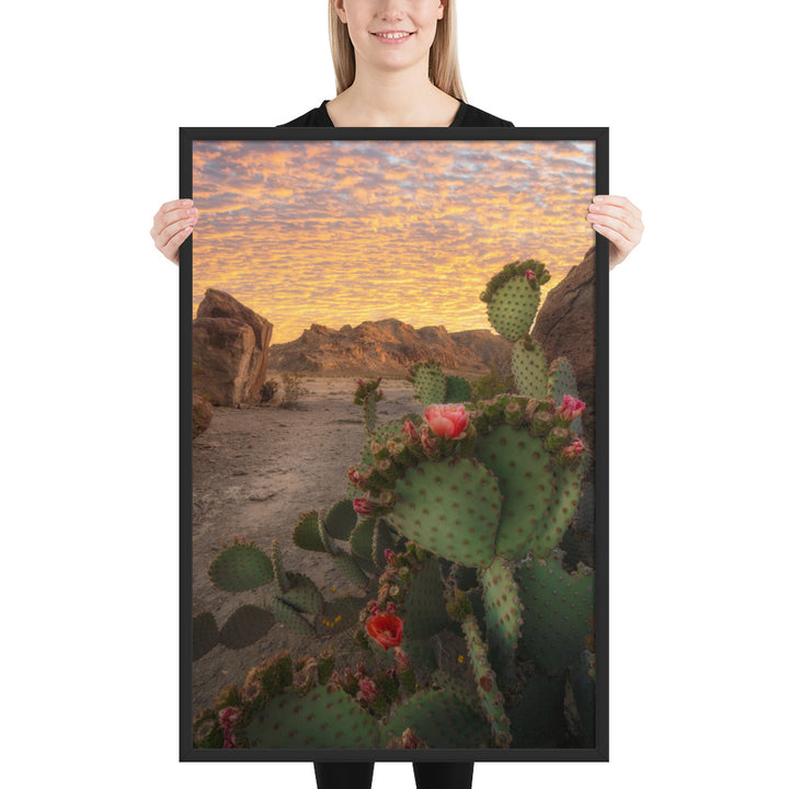 Big Bend Prickly Pear Framed Matte