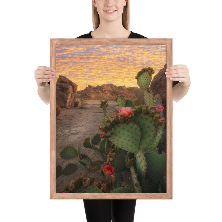 Big Bend Prickly Pear Framed Matte