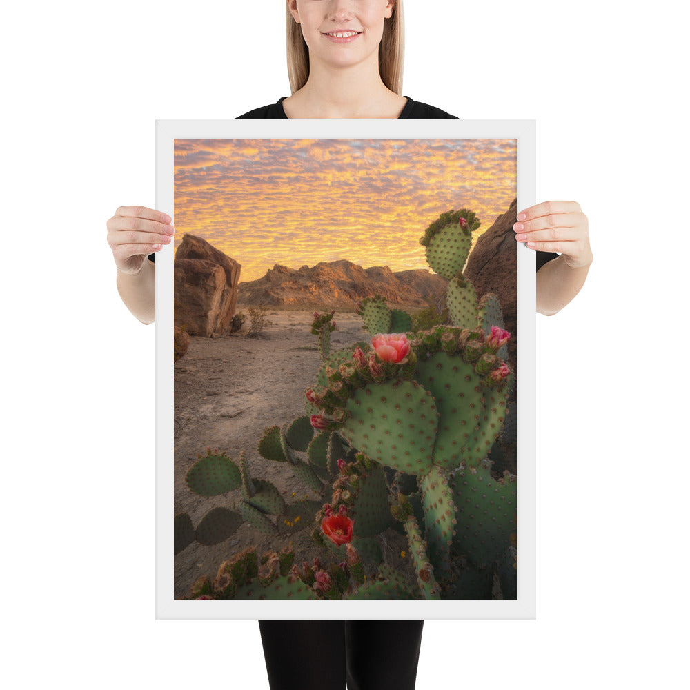 Big Bend Prickly Pear Framed Matte