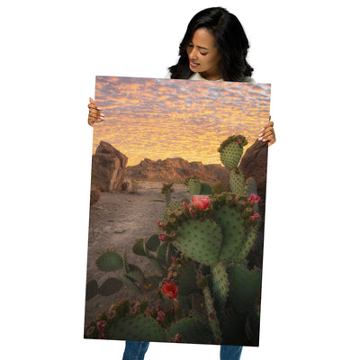 Big Bend Prickly Pear Metal