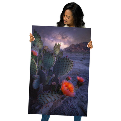 Big Bend Prickly Pear Nightscape Metal
