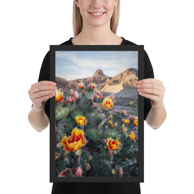 Lajitas Mesa Prickly Pear Framed Luster