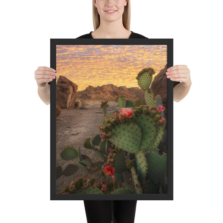 Big Bend Prickly Pear Framed Luster