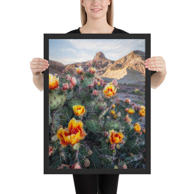 Lajitas Mesa Prickly Pear Framed Luster