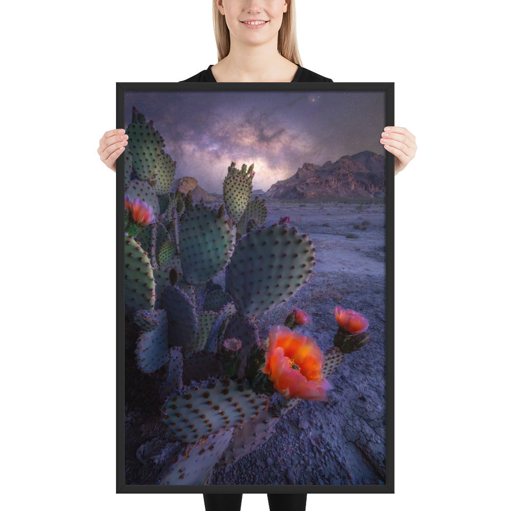 Big Bend Prickly Pear Framed Luster