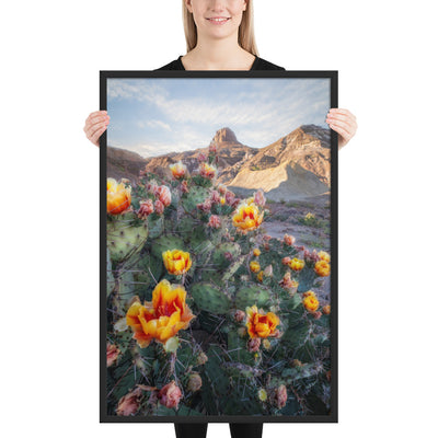 Lajitas Mesa Prickly Pear Framed Luster