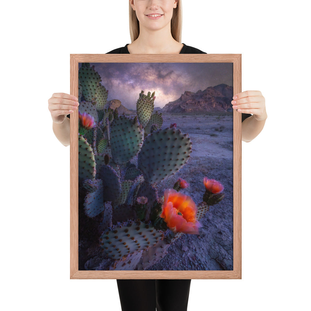Big Bend Prickly Pear Framed Luster