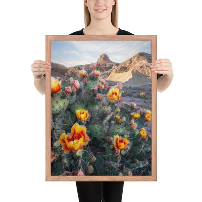 Lajitas Mesa Prickly Pear Framed Luster