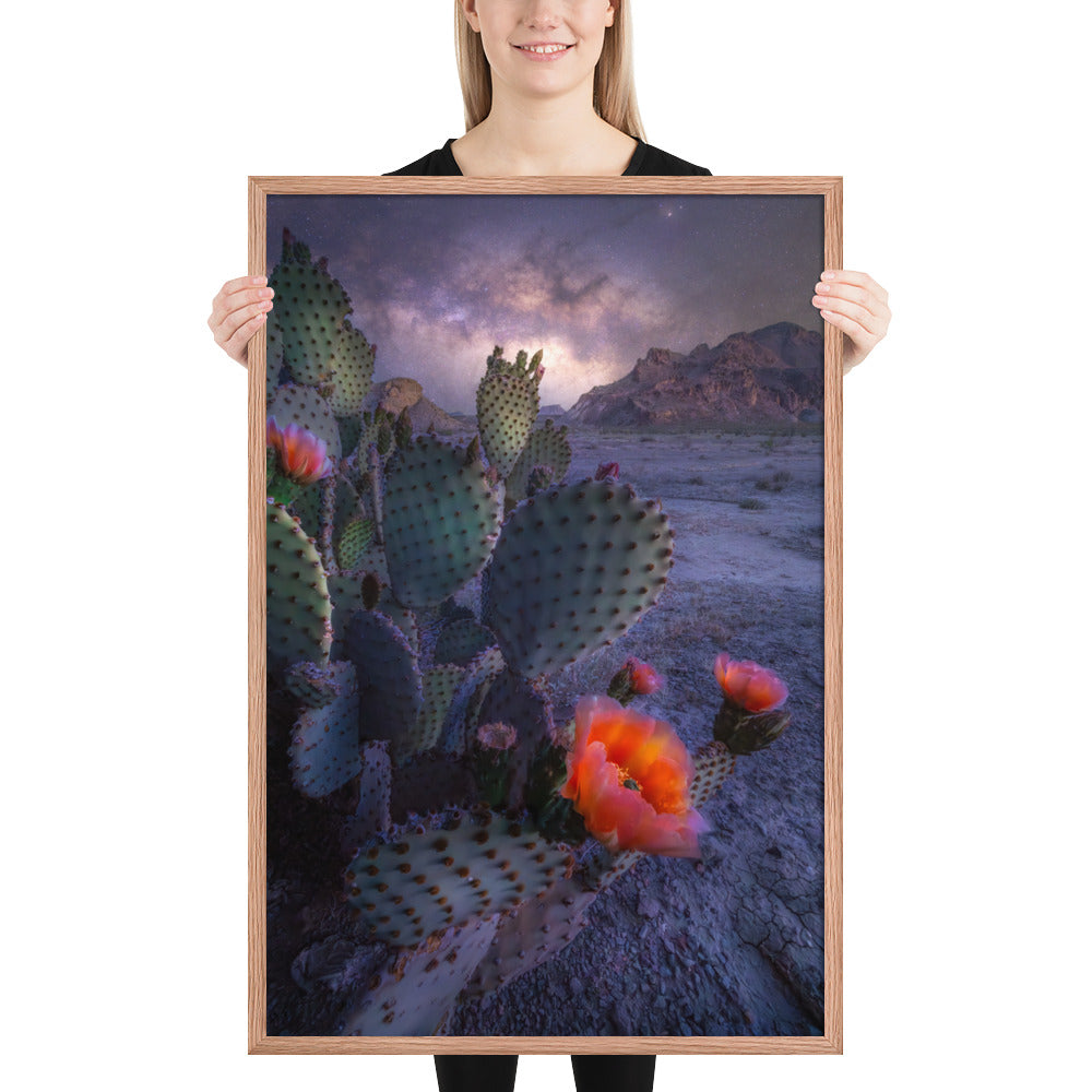 Big Bend Prickly Pear Framed Luster