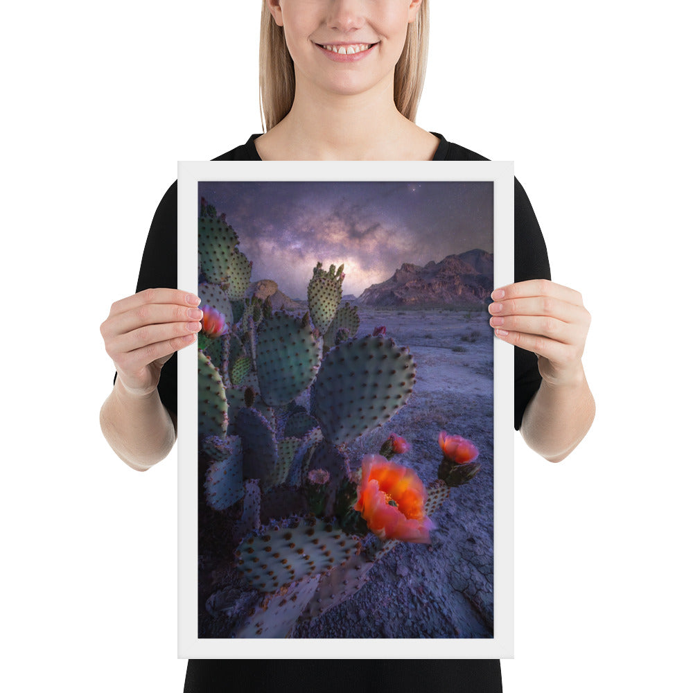 Big Bend Prickly Pear Framed Luster