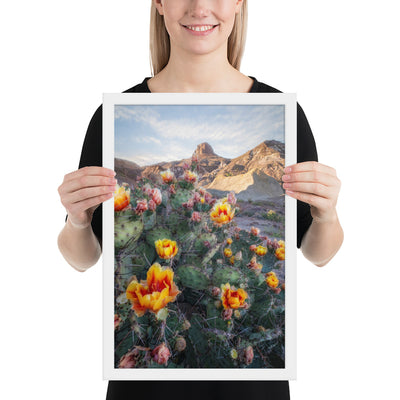 Lajitas Mesa Prickly Pear Framed Luster