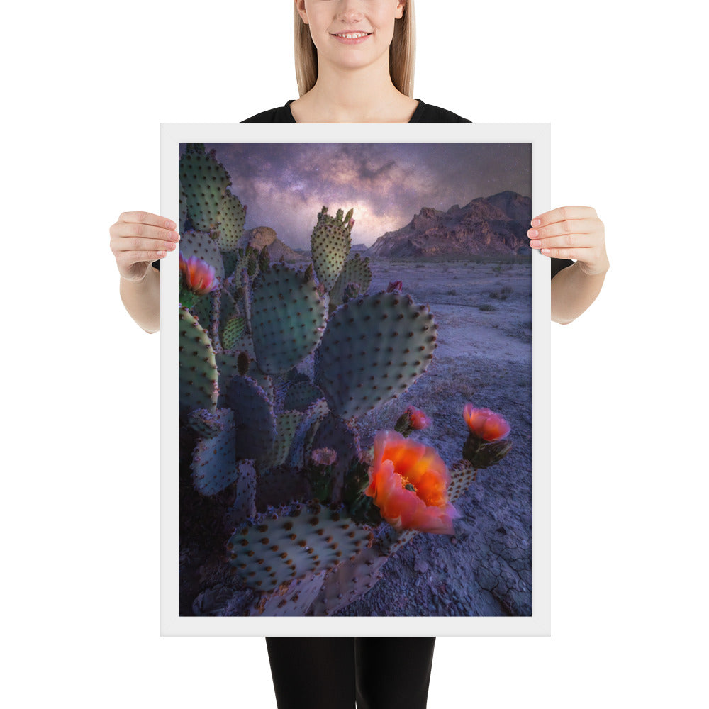 Big Bend Prickly Pear Framed Luster
