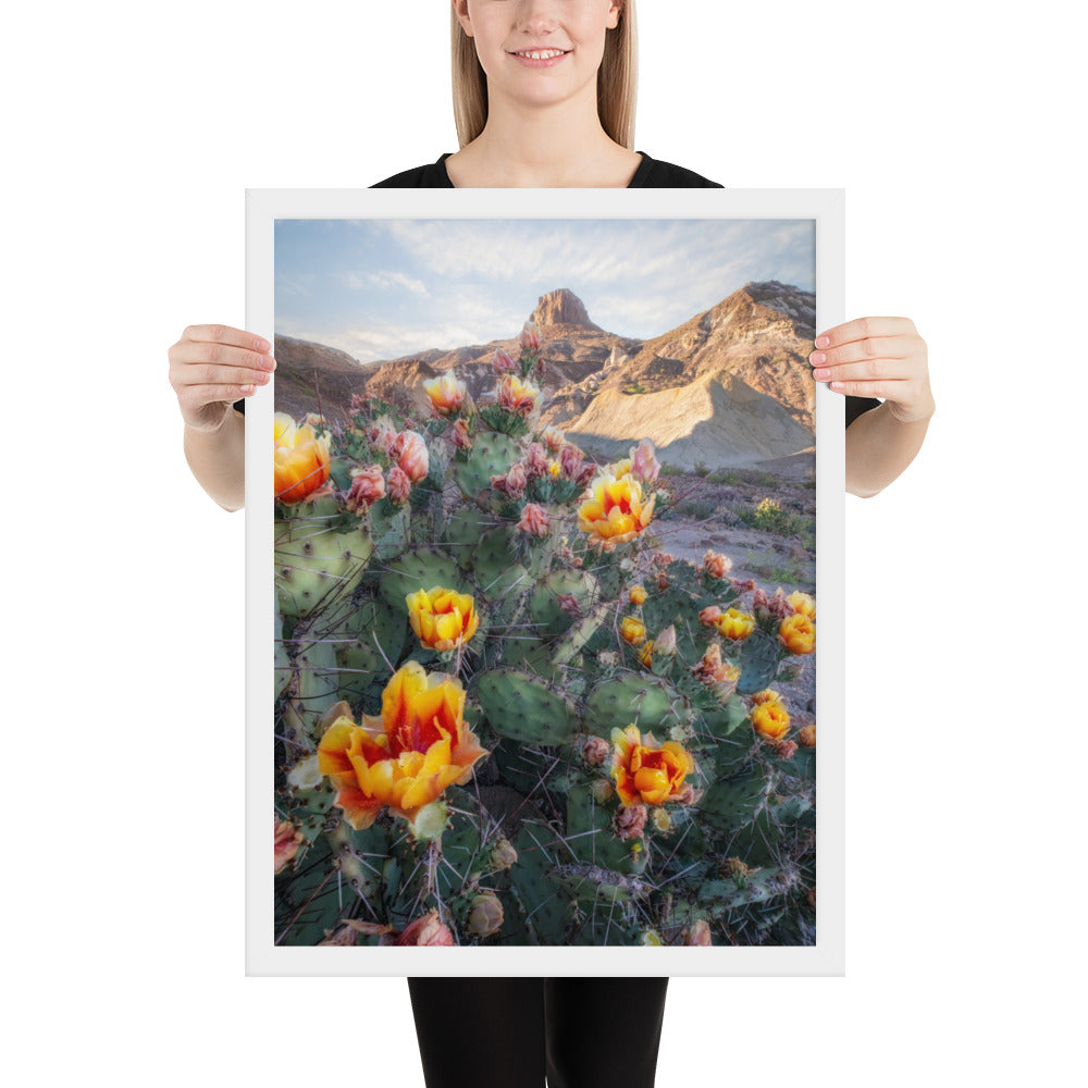 Lajitas Mesa Prickly Pear Framed Luster