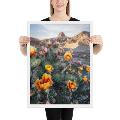 Lajitas Mesa Prickly Pear Framed Luster